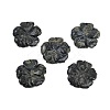 Natural Kambaba Jasper Carved Pendants G-B097-01A-11-1