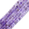 Natural Amethyst Beads Strands G-P457-A01-15-1