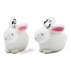 Flocky Resin Pendants RESI-N032-10-5