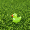 Mini Duck Resin Display Decorations FIND-SZC0013-351-1