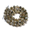 Natural Labradorite Beads Strands G-P508-A20-01-3
