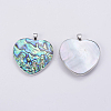 Abalone Shell/Paua Shell Pendants SSHEL-L008-30P-3