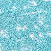 Baking Paint Glass Seed Beads X-SEED-S042-15B-34-3