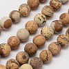 Natural Picture Jasper Beads Strands G-D686-8mm-1