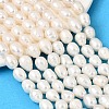 Natural Cultured Freshwater Pearl Beads Strands PEAR-F020-04A-2A-1