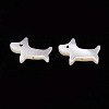 Natural Trochid Shell/Trochus Shell Beads SSHEL-T014-30-2