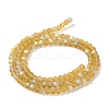Transparent Glass Beads Strands EGLA-A034-T4mm-MB04-3