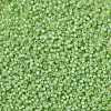 MIYUKI Round Rocailles Beads SEED-JP0009-RR0676-3