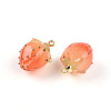 Handmade Flower Epoxy Resin Pendants KY-S163-103E-2