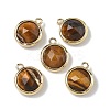 Natural Tiger Eye Faceted Flat Round Charms G-U028-03G-02-1