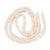 Natural Cultured Freshwater Pearl Beads Strands PEAR-C004-20B-3