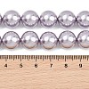 Electroplated Shell Pearl Graduated Beads Strands BSHE-C011-04-03-3