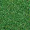 TOHO Round Seed Beads SEED-JPTR11-0167-2