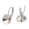 Tarnish Resistant 304 Stainless Steel Leverback Earring Findings STAS-R123-15P-2