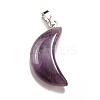Natural Amethyst Pendants G-Z022-05D-2