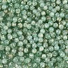 Picasso Baking Paint Glass Seed Beads SEED-N007-35D-3
