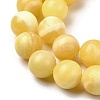 Natural Yellow Jade Beadd Strands X-G-A274-A01-14mm-4