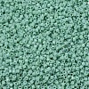 MIYUKI Delica Beads SEED-MY11-DB2125-3