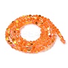Transparent Electroplate Glass Beads Strands GLAA-Q099-A01-06-2