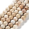 Dyed Natural Regalite/Imperial Jasper/Sea Sediment Jasper Beads Strands G-B124-C01-17-1