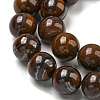 Natural Yellow Tiger Iron Beads Strands G-C079-A03-03-4