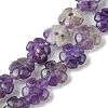 Natural Amethyst Beads Strands G-H023-B08-01-1