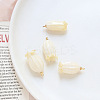 Opaque Resin Pendants LS-INS-PW0001-18A-1