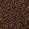 TOHO 8/0 Round Beads SEED-XTR08-2152S-2