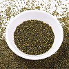 MIYUKI Delica Beads SEED-X0054-DB0604-2