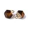 Natural Tiger Eye Pendants G-N359-18G-03-2