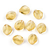 Transparent Handmade Lampwork Beads LAMP-T011-17-B04-3