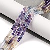 Natural Fluorite Beads Strands X-G-F770-D08-03-1