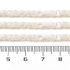 Natural Trochus Shell Beads Strands SHEL-P017-04-4