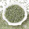 6/0 Transparent Inside Colours Glass Seed Round Beads SEED-N006-004H-2