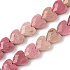 Natural Rhodonite Beads Strands G-D316-B06-2