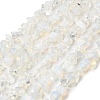 Opalite Beads Strands G-P332-11-2