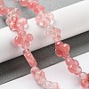 Cherry Quartz Glass Beads Strands G-P520-A05-01-2