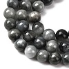 Natural Hawk's Eye Beads Strands G-L478-03-8mm-01-4