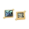 Brass Pave Natural Paua Shell Connector Charms KK-M299-01A-G-2