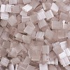 MIYUKI TILA Beads SEED-JP0008-TL2553-3