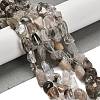 Natural Green Lodolite Quartz Beads Strands G-P497-01E-05-2