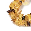 Natural Amber Beads Strands G-L095-D01-04-4