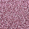 MIYUKI Round Rocailles Beads SEED-JP0008-RR1349-3