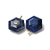 Dyed Natural Lapis Lazuli Pendants G-P588-02G-05-2