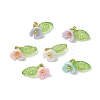 6pcs Resin Imitation Pearl Charms PALLOY-JF03423-1
