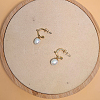 Stainless Steel Stud Earrings PY1102-4-1