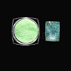 Nail Art Luminous Powder MRMJ-R090-29-03-1