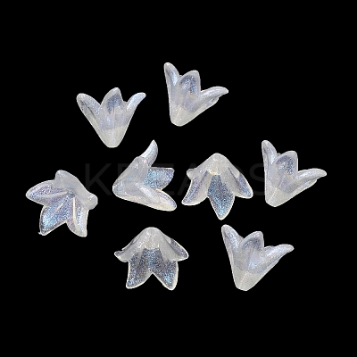 Transparent Acrylic Bead Caps OACR-A020-01-1