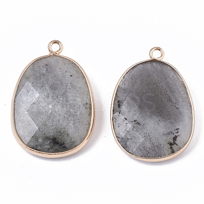 Natural Labradorite Pendants G-T131-08D-1