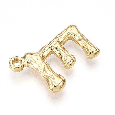 304 Stainless Steel Pendants STAS-N117-01G-E-1